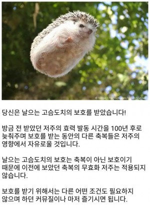 홍대 골목에서 발견된 저주인형 (공포) | 인스티즈