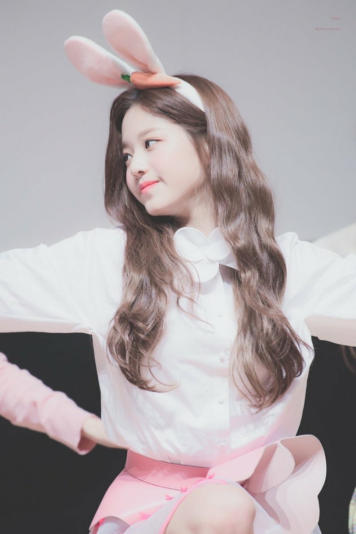 아이돌 토끼 머리띠 극과극 | 인스티즈