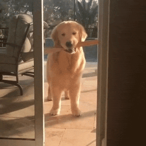 댕청한 인절미 | 인스티즈