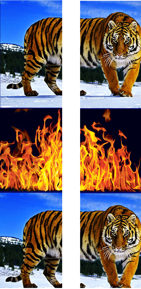 호불호 갈리는 짤.jpg | 인스티즈