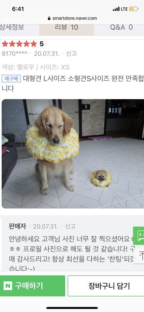 댕댕이 넥카라 후기.jpg | 인스티즈