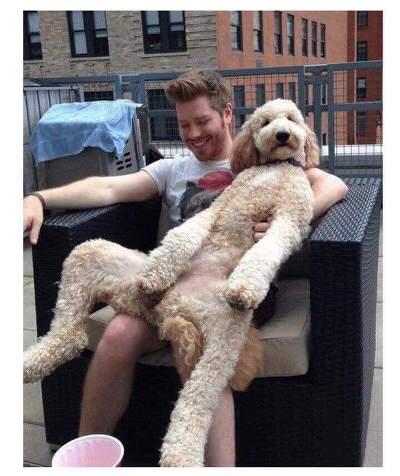 b90f9c809be0bd8faf20866820c221ecc3d34b80