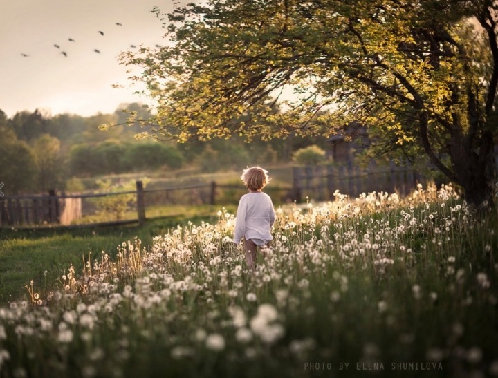 시골에서 자라는 아이들...jpg | 인스티즈