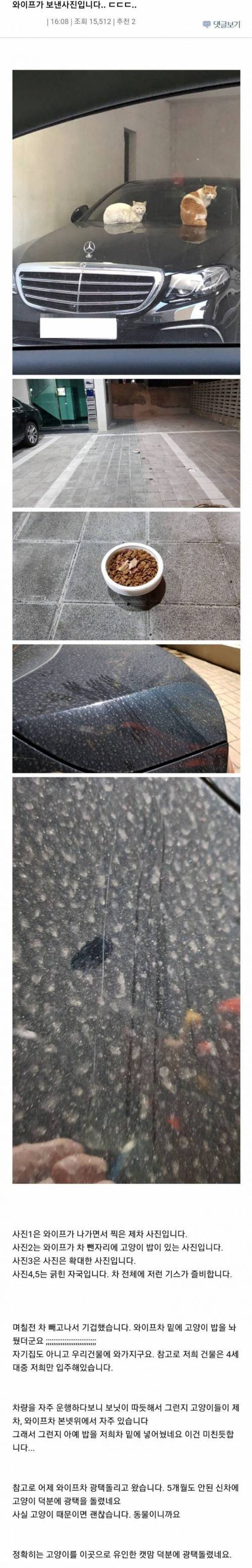 남의 차 밑에 사료 놔둠.JPG | 인스티즈