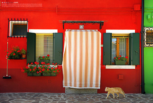 이탈리아 부라노섬 | 인스티즈