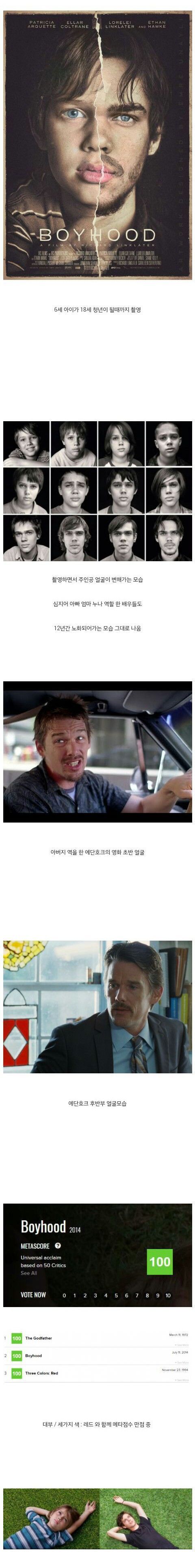 촬영 기간만 12년이 걸렸다는 영화 | 인스티즈