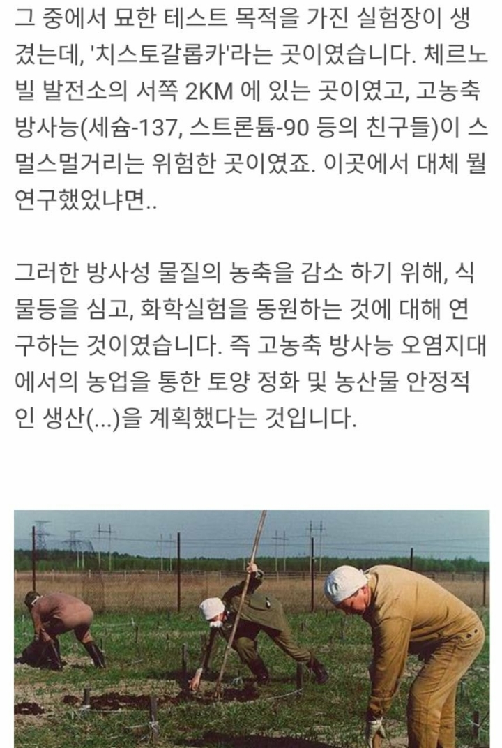 방사능을 대하는 태도(러시아와 일본) | 인스티즈