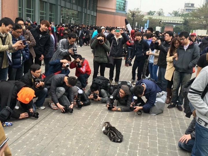 아니 저렇게까지 밑에서 찍어야 하나 | 인스티즈