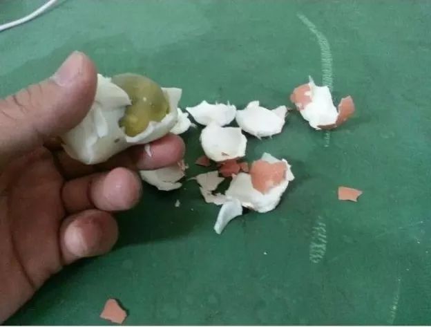 군필 눈에는 계란 후라이.jpg | 인스티즈