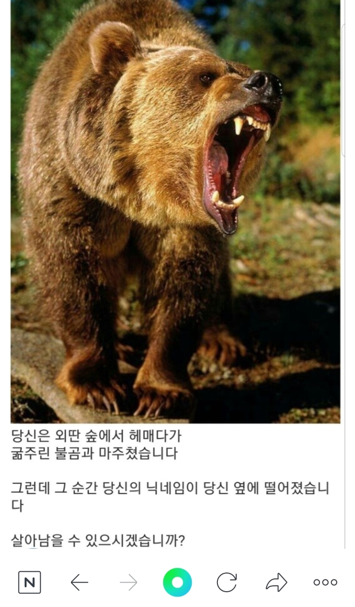 당신은 곰을 만났습니다.jpg | 인스티즈