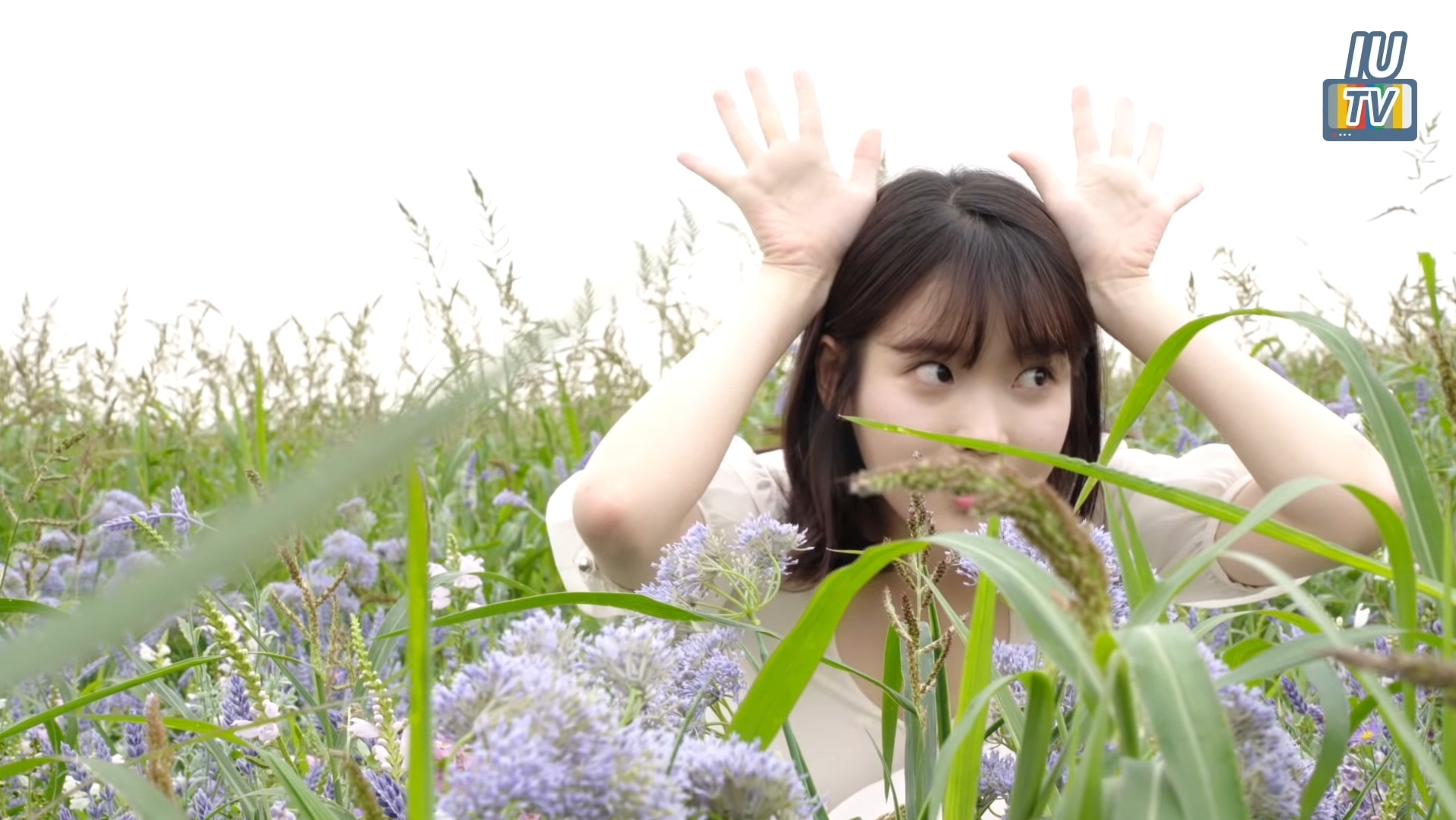 이게 아이유 꽃이유 | 인스티즈