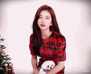 크리스마스 인사하는 수지.gif | 인스티즈
