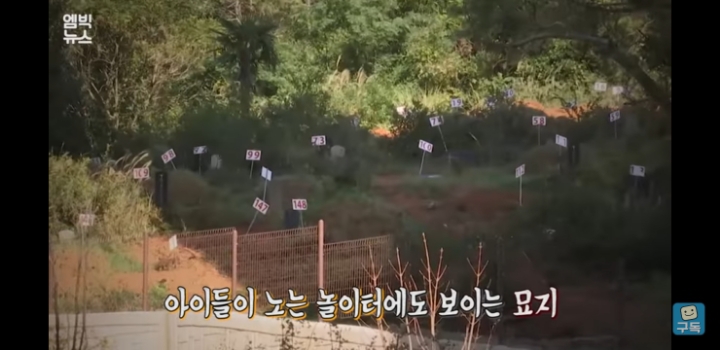 공동묘지 묘세권. 바로앞에 묘지가있는 전남의 아파트 | 인스티즈