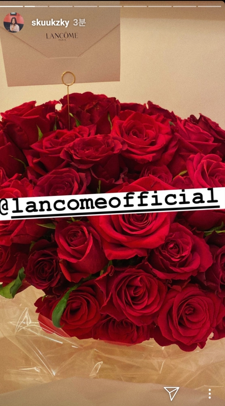 백두산 시사회에서 수지가 받은 꽃다발들 | 인스티즈