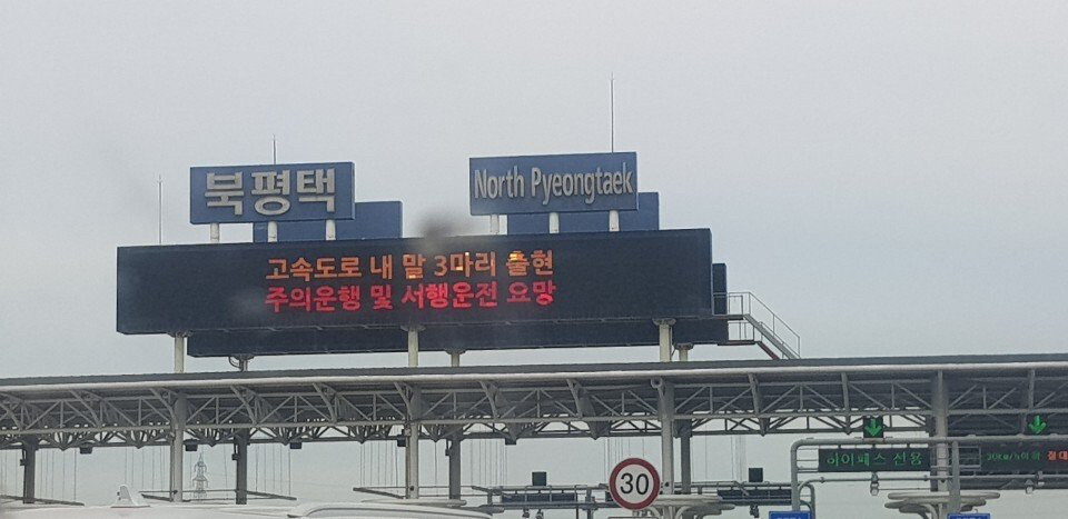 고속도로에서 멋대로 갓길주행하는 머스탱 | 인스티즈