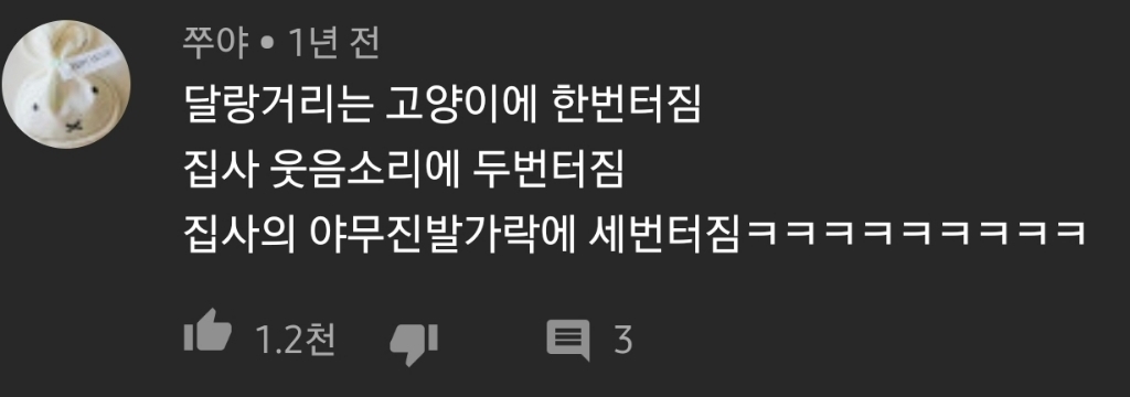 고양이 찍다가 빵터짐 ㅋㅋㅋㅋㅋㅋㅋㅋㅋㅋㅋㅋㅋㅋㅋㅋ | 인스티즈