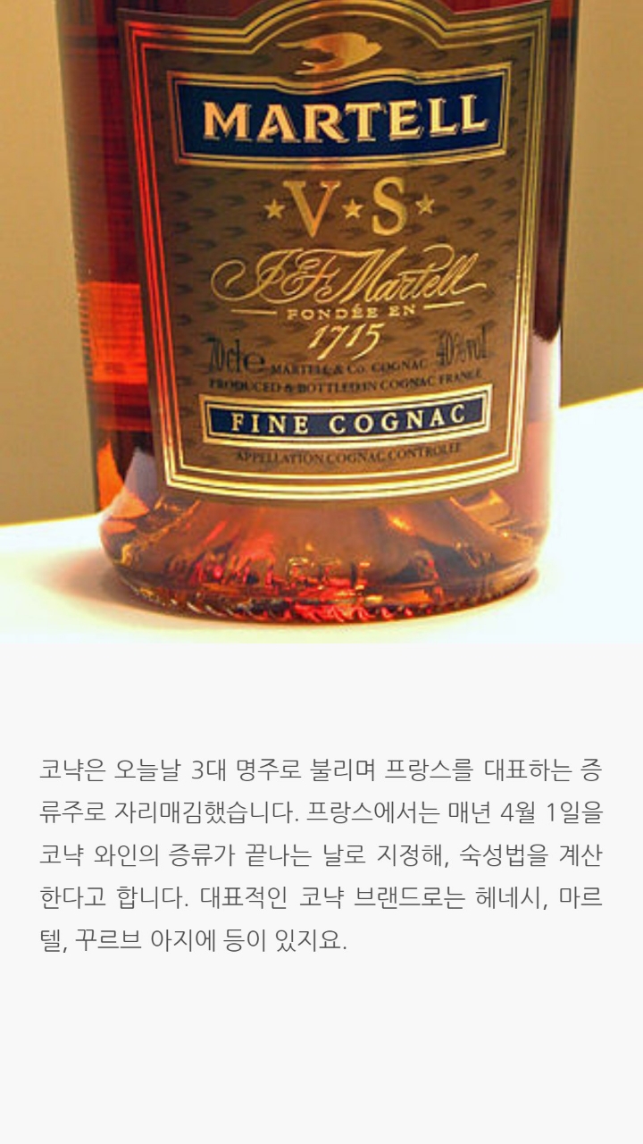 전세계적으로 인정받은 세가지술에 얽힌 이야기 | 인스티즈