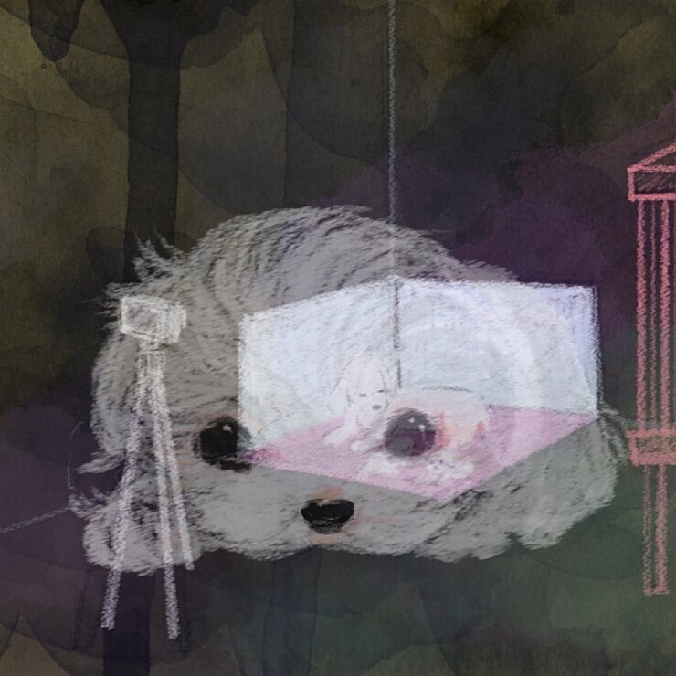 애견샵의 불편한 진실.jpg | 인스티즈