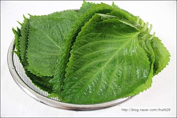 삽겹살 먹을때 딱 세가지만 고를수있다면? | 인스티즈