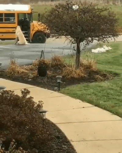 아침 임무 완료.gif | 인스티즈