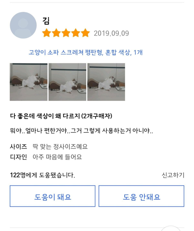 저세상 반응인 고양이 스크래치 리뷰.jpg | 인스티즈