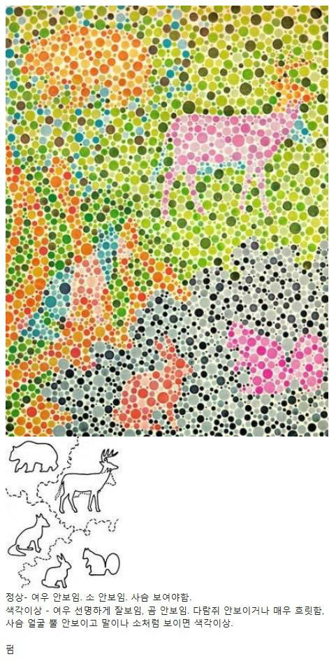 간단한 색약 검사.jpg | 인스티즈