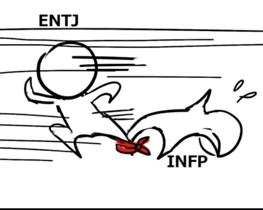 ENTJ와 INFP | 인스티즈