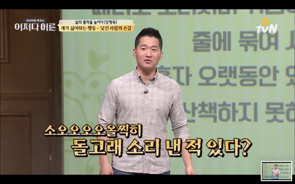 지나가다 귀여운 댕댕이를 볼때 어떻게 반응해야하나 | 인스티즈