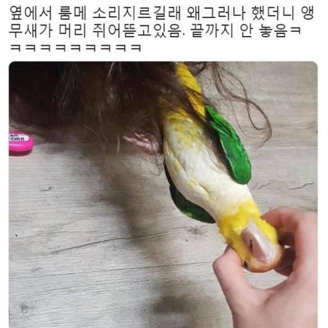 나 고딩때 남친 스님됐더라........jpg | 인스티즈