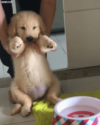 물배채운 인절미 | 인스티즈