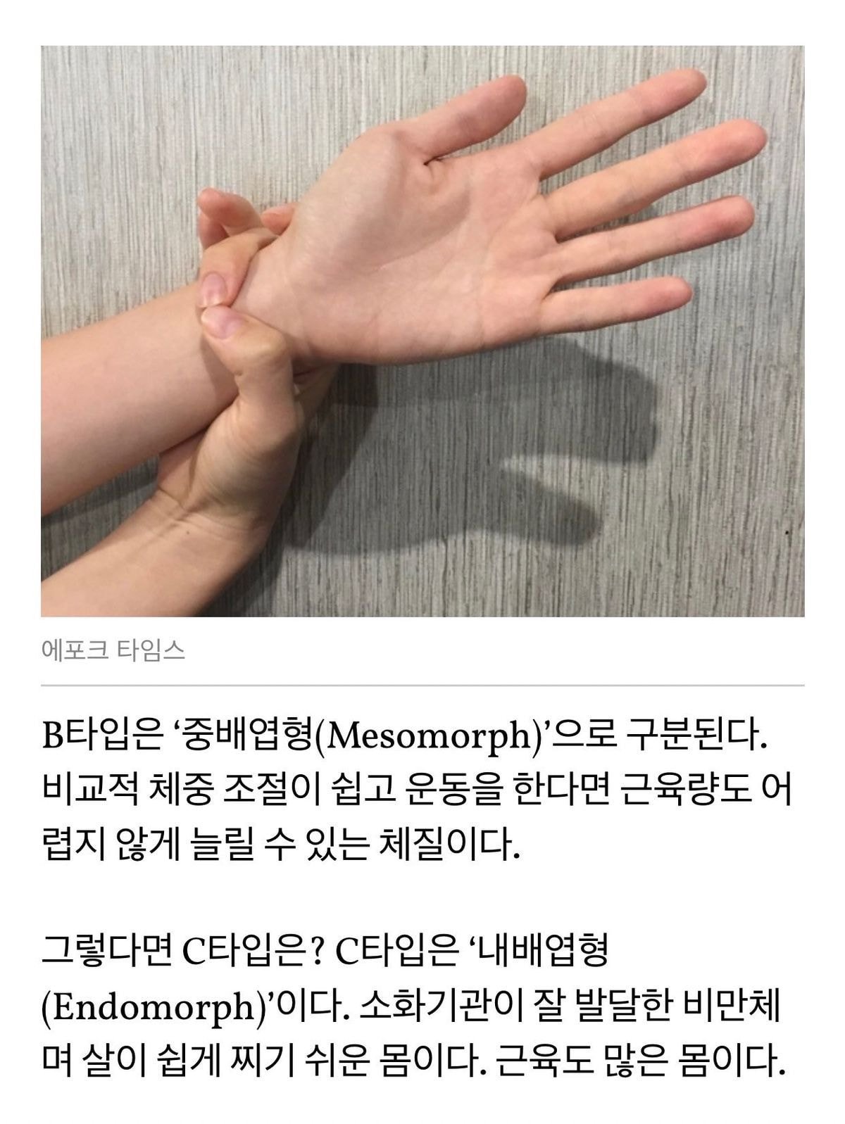 살 잘 찌는 체질인지 아닌지 이걸로 측정해볼 수 있음 | 인스티즈