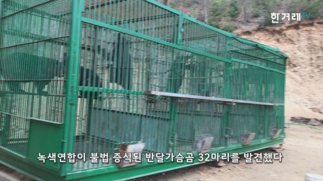 반달가슴곰을 먹는 미친 인간들 | 인스티즈