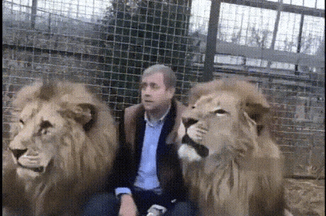 의외로 ㅈ밥인 동물 | 인스티즈