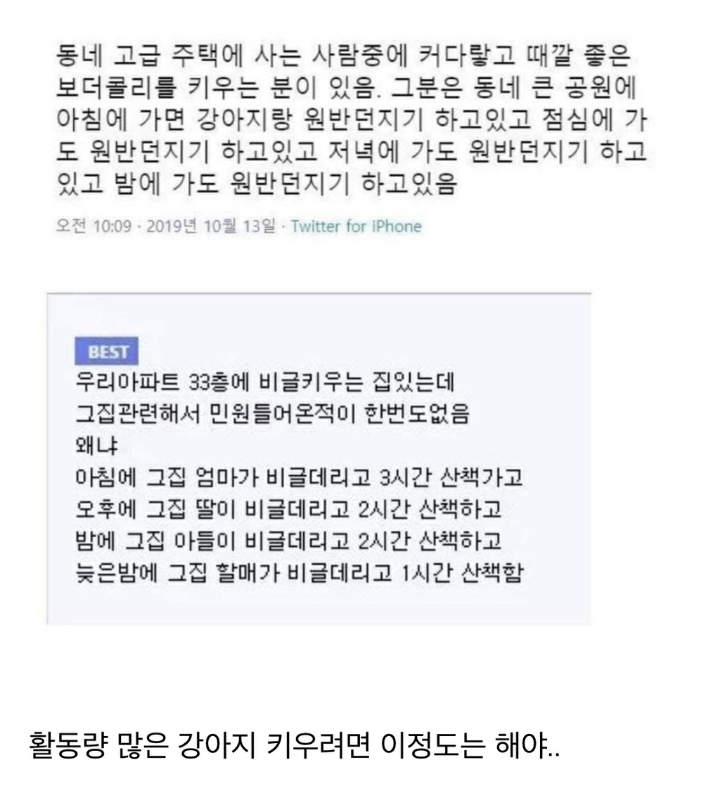 아파트에서 비글 키우는데 민원 안들어오는 이유.jpg | 인스티즈