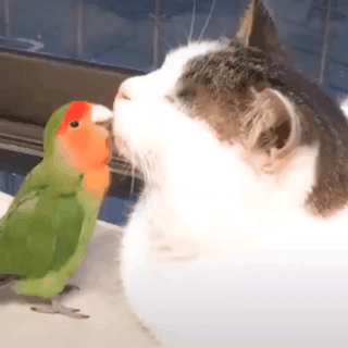 아프면 손들어주세요 | 인스티즈