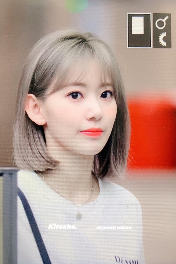 미야와키 사쿠라 랜덤짤 36 | 인스티즈