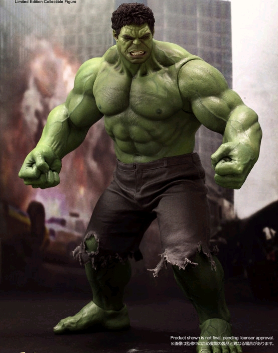 원피스 3대장이 힘 합치면 이 사람 이길 수 있다 vs 없다 | 인스티즈