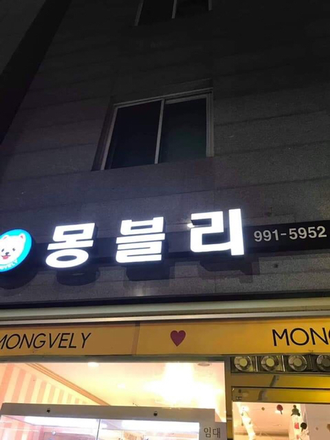 폐업정리한다고 강아지들 그냥 방치시킨 우이동 펫샵 .jpg | 인스티즈