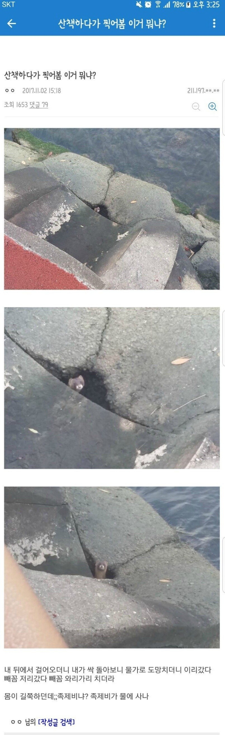 산책하다가 찍어봄 이거 뭐니? | 인스티즈