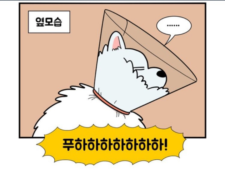 웹툰 극한견주 주인공 사모예드 댕댕이 솜이 사진들.jpg | 인스티즈
