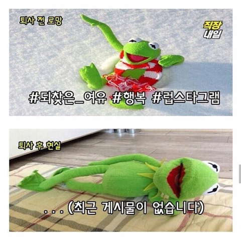 퇴사 전 로망, 퇴사 후 현실.JPG | 인스티즈