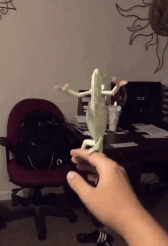 우와 비누방울이다 | 인스티즈