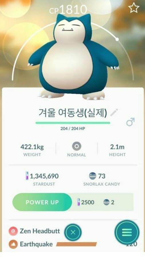 여동생을 포켓몬으로 비유 | 인스티즈