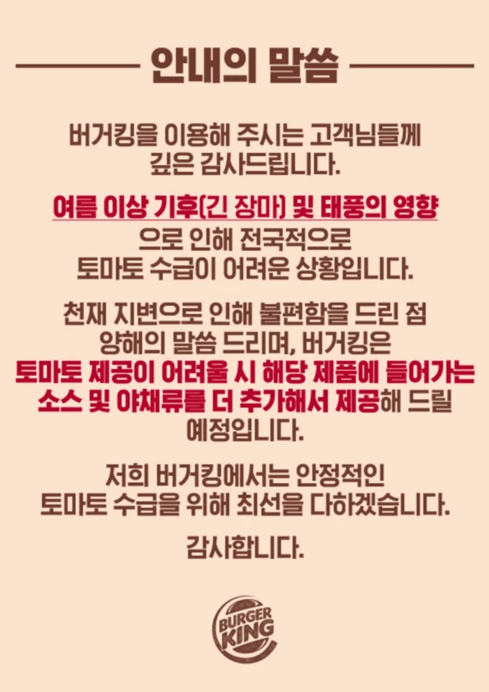 버거킹 햄버거 토마토 제공 관련 공지..JPG | 인스티즈