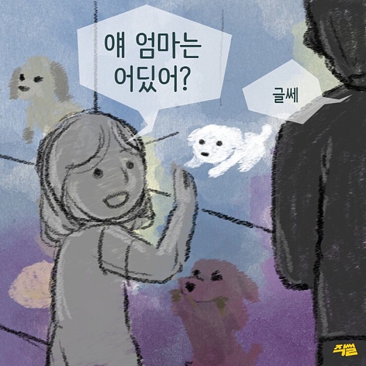 애견샵 불편한 진실 | 인스티즈