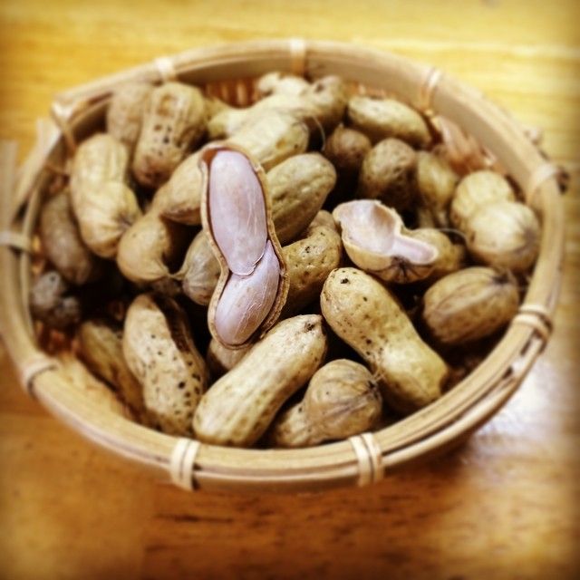 경상도에서만 먹는 음식.....jpg | 인스티즈