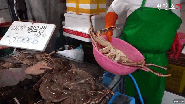 소래포구 걸러야 하는 이유 .gif | 인스티즈