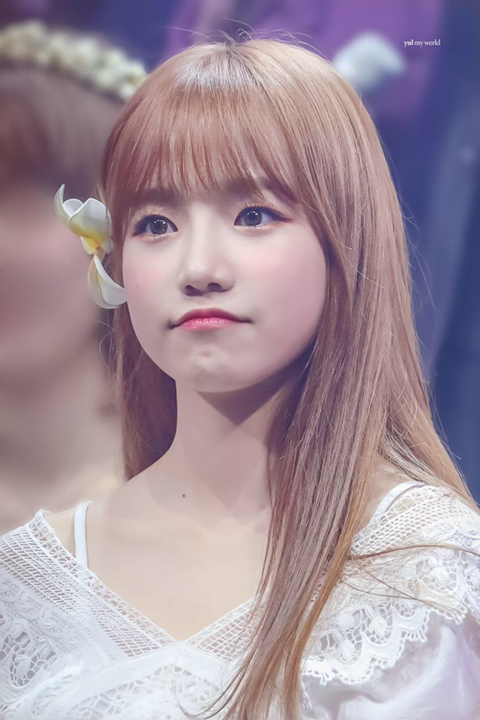 아이즈원 유리보고가세요.jpg | 인스티즈
