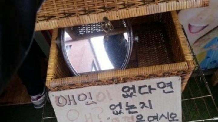 애인이 왜 없는지 알려주는 상자 | 인스티즈