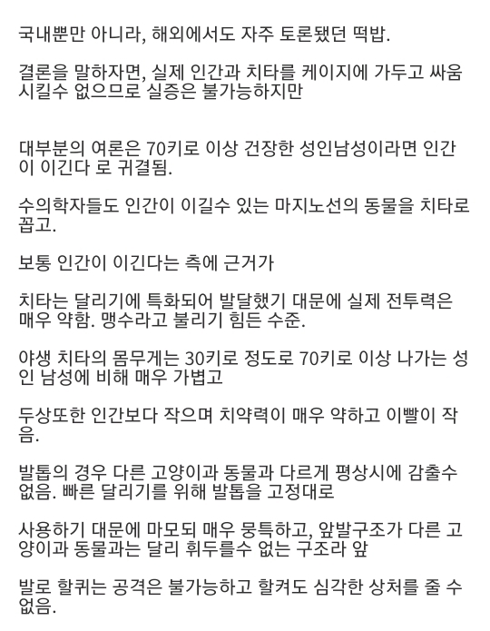 인간이 치타와 싸워서 이길 수 있다는 의견 | 인스티즈